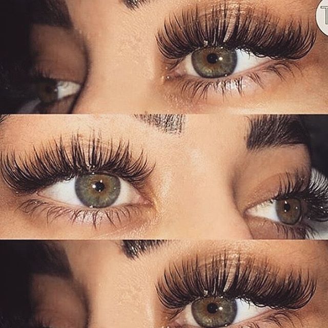 Lash Technicians